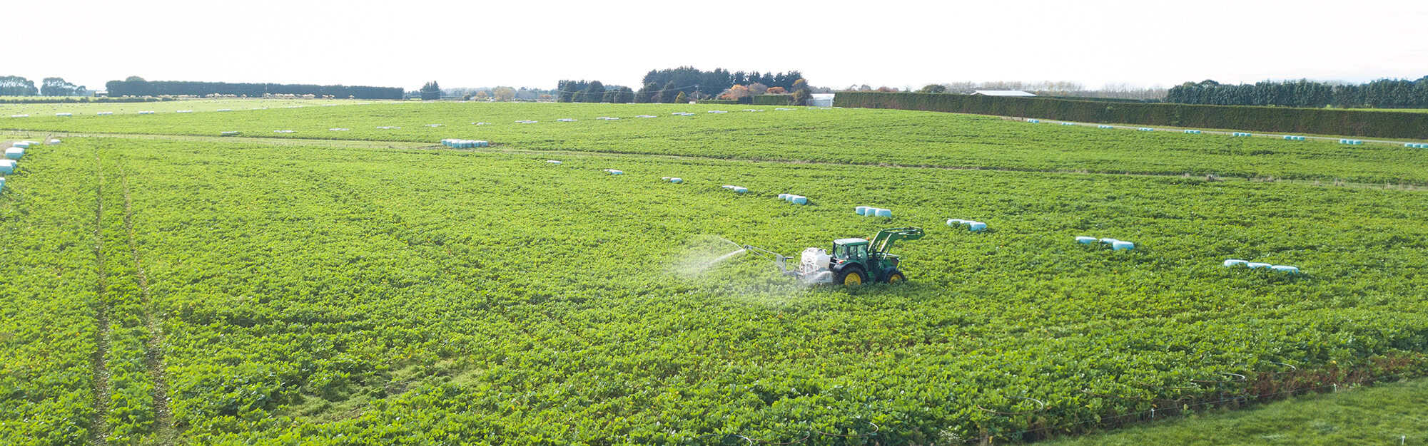 Image of tow and fert spraying over wintering block