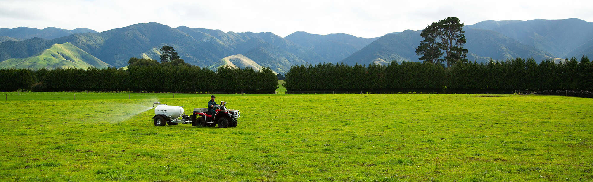 scott charmley - dannevirke